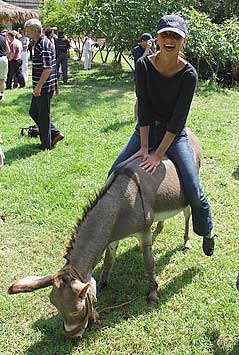 Playing with animals Playing with animals