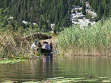 Driving in the river