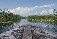 Flottant sur la riviere